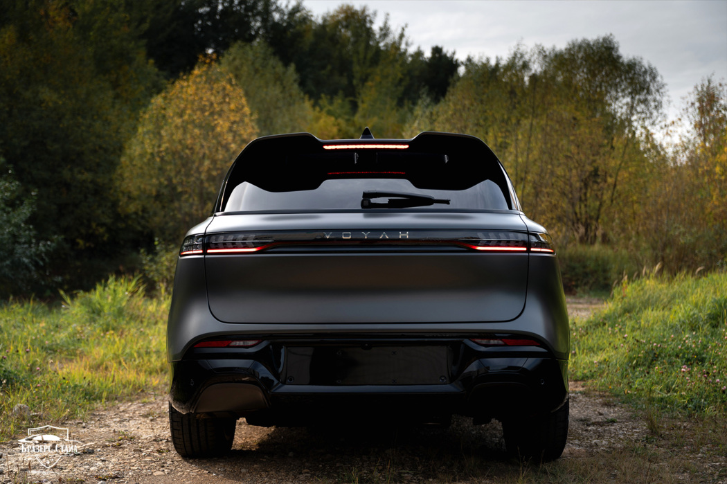 Серый матовый Voyah Free