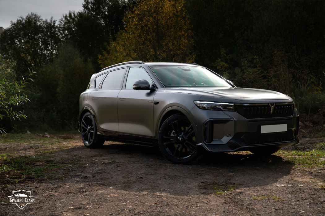 Серый матовый Voyah Free