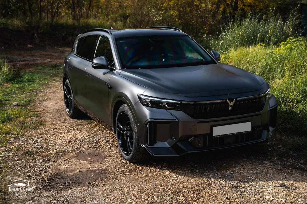 Серый матовый Voyah Free